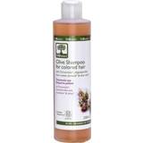 Bioselect Kruset hår Hårprodukter Bioselect Olive Shampoo for Colored Hair 200ml
