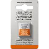 Brun Akvarelmaling Winsor & Newton Professional Water Colour Burnt Sienna Half Pan