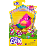 Fugle Interaktive dyr Little Live Pets Single Pack S12 Bird Pippy Hippy