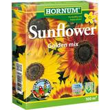 Hornum Krukker, Planter & Dyrkning Hornum Sunflower Golden Mix