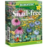 Blomsterfrø Hornum Snail-Free Flower Mix