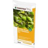 Plantejord på tilbud Pindstrup Olive, Palm and Citrus Soils
