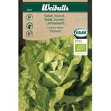 Weibulls Salat Victoria