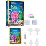 National Geographic Legetøj National Geographic Crystal Garden Kit
