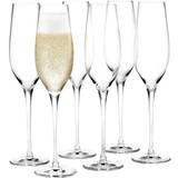 Holmegaard Champagneglas Holmegaard Cabernet Champagneglas 29cl 6stk