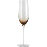Nordal Brun Glas Nordal glas, Garo Ø7,7xH27,5 Champagneglas 32cl 8stk