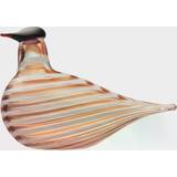 Orange Brugskunst Iittala Crake Bird 2022 Dekorationsfigur 11.5cm