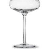 Byon Glas Byon Opacity Champagneglas 22cl