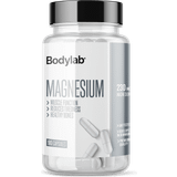 Bodylab Vitaminer & Kosttilskud Bodylab Magnesium (90 kap) 90 stk