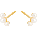 Pernille Corydon Ocean Earsticks - Gold/Pearls