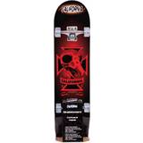 ABEC-3 Komplette skateboards California Red Bird Skull 8"