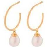 Pernille Corydon Ocean Dream Hoops - Gold/Pearls