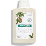 Klorane Udreder sammenfiltringer Hårprodukter Klorane Shampoing Cupuaçu Bio Very Dry Hair Repair
