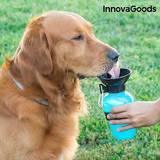 InnovaGoods Drikkedunke InnovaGoods til Hunde Drikkedunk