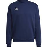 Adidas Grøn - M Sweatere adidas Entrada sweatshirt Team