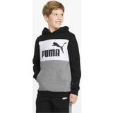 Puma Essential Hoodie