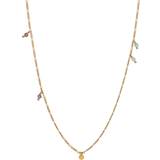 Ametyster Smykker Stine A Petit Coin Necklace - Gold/Multicolour