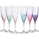 Multifarvet Champagneglas Anna von Lipa Kate Champagneglas 20cl 6stk