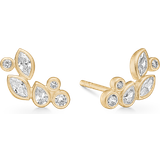 Julie Sandlau Charm Bracelets Smykker Julie Sandlau Treasure Earstuds - Gold/Transparent