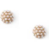 Orelia Øreringe Orelia Encrusted Domed Stud Earrings - Gold/Pearls