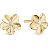 Christina Smykker Christina Flower Bouquet Earrings - Gold/Transparent