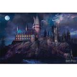 Harry Potter Hogwarts Plakat 91x61cm