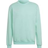 Piger - Turkis Overdele adidas Entrada 22 Sweatshirt - Clear Mint (HC5042)