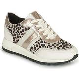 Geox Brun Sneakers Geox TABELYA women's Shoes (Trainers) in