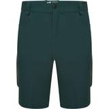 Dare2B Tuned In II Walking Shorts - Fern Green