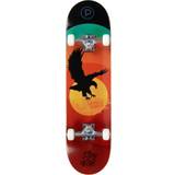 Orange Komplette skateboards Playlife Wildlife Deadly Eagle 8.0"