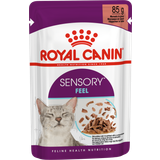 Royal Canin Hvede - Katte - Vådfoder Kæledyr Royal Canin Sensory Feel Morsels in Gravy