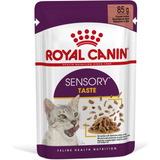 Royal Canin Hvede - Katte - Vådfoder Kæledyr Royal Canin Sensory Taste Chunks in Gravy