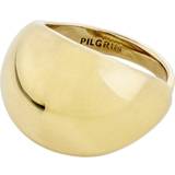 Ringe Pilgrim Ringe belagt