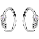Opaler Øreringe Maanesten Florus Earrings - Silver/Opal