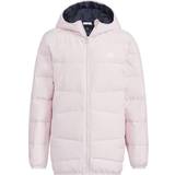 Adidas Pink Overtøj adidas Frosty Winter Jacket - Clear Pink (HM5237)