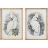 Brugskunst Dkd Home Decor Kolonistil Ptica (50 x 2,8 x 70 cm) (2 enheder) Billede