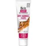 Brit Katte Kæledyr Brit Cat Functional Paste Anti Hairball With Taurine 0.1kg