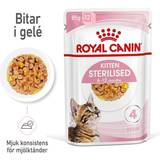 Royal Canin Katte - Vådfoder Kæledyr Royal Canin Kitten Jelly menuboks pouch sterilised