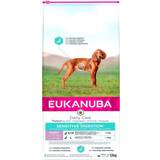 Eukanuba Tørfoder Kæledyr Eukanuba Daily Care Puppy Sensitive Digestion hundefoder 12kg