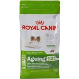 Royal canin ageing 12 Royal Canin X-Small Ageing 12+