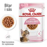 Royal canin kitten sterilised Royal Canin Kitten Gravy menuboks pouch sterilised 12