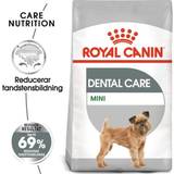 Royal canin mini adult Royal Canin Adult Dental Care Mini 3