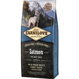 Carnilove Hunde - Tørfoder Kæledyr Carnilove Salmon 4kg