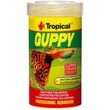 Tropical Kæledyr Tropical Guppy 100