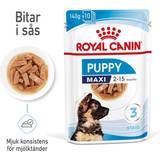 Royal Canin Hunde - Ris - Vådfoder Kæledyr Royal Canin Wet Maxi Puppy Saver Pack: