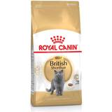 Kæledyr Royal Canin British Shorthair Adult Dry Cat Food 10