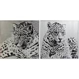 Hvid - Lærred Vægdekorationer Dkd Home Decor Leopard Kolonistil (100 x 2,5 x 100 cm) (2 enheder) Billede 100x100cm