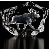 Krystal Dekorationer Målerås Glasbruk Wildlife glasskulptur Elg Dekorationsfigur