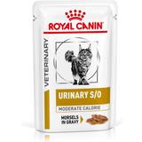 Royal Canin Katte - Vådfoder Kæledyr Royal Canin Urinary S/O Moderate Calorie 12x85g