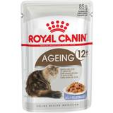 Royal Canin Fhn Ageing +12 Jelly 85G